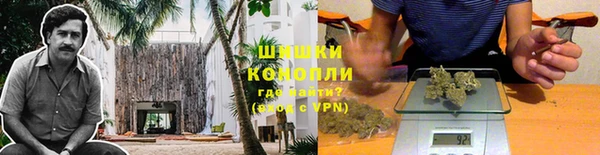 дмт Елабуга