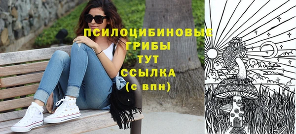 дмт Елабуга