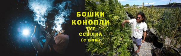 метадон Елизово