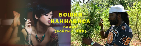 метадон Елизово