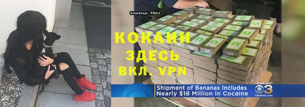 метадон Елизово