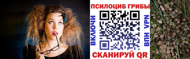 Галлюциногенные грибы Cubensis  Купить закладки  Рузаевка 